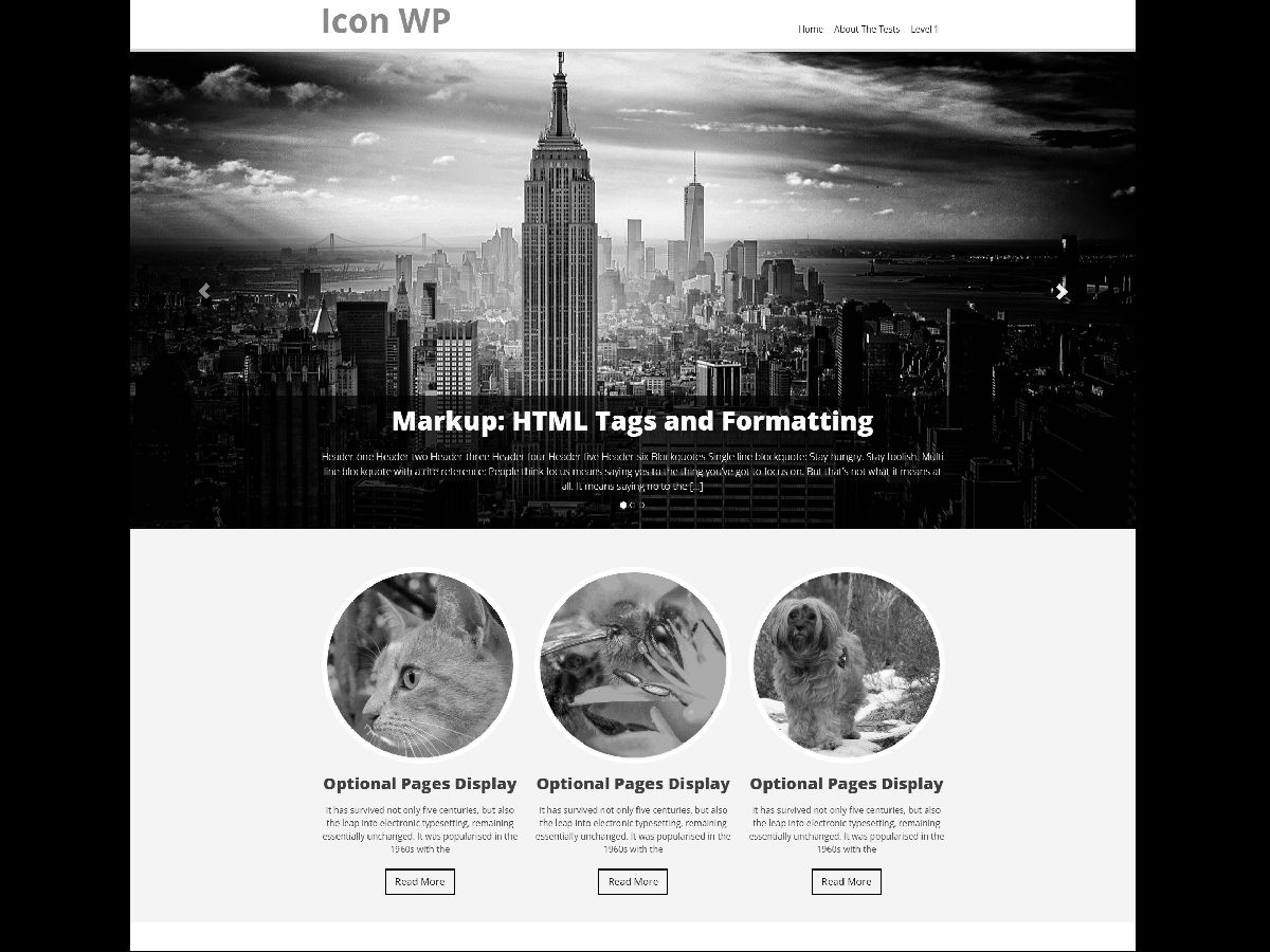 icon-wp free wordpress theme