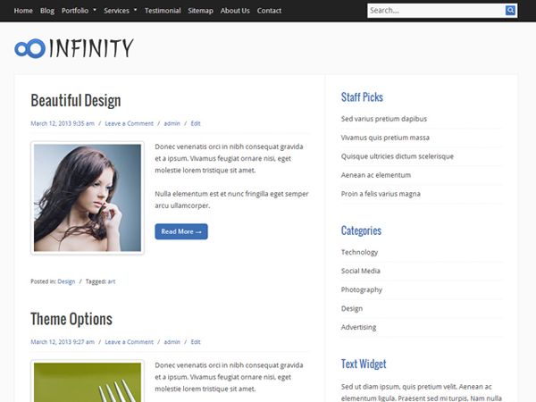 infinity free wordpress theme