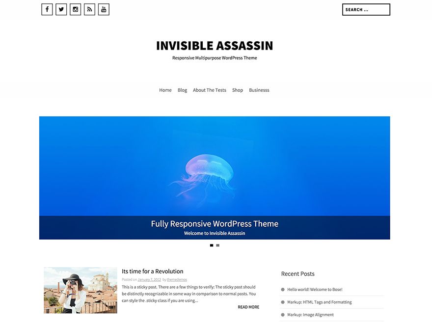 invisible-assassin free wordpress theme