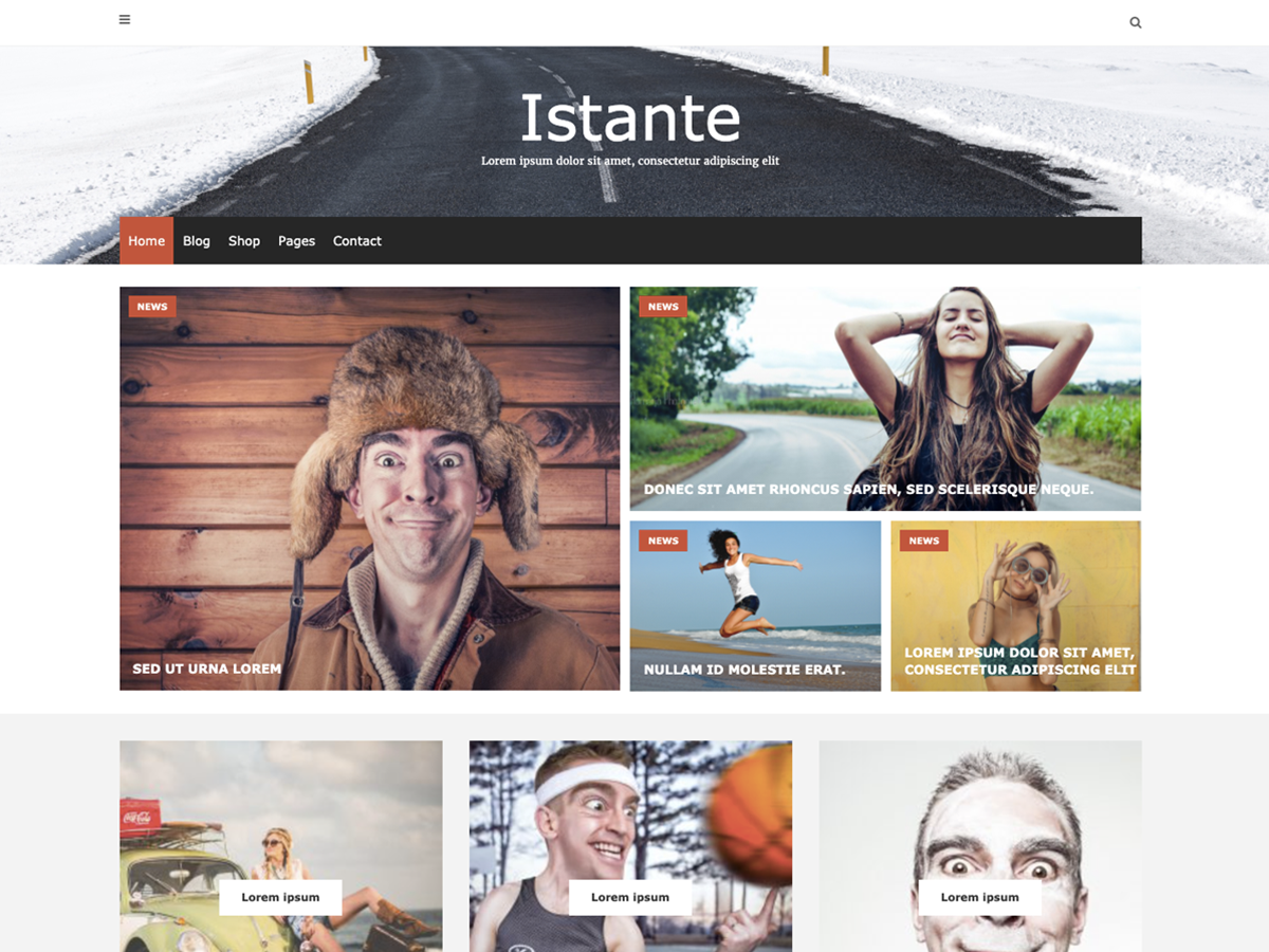 istante free wordpress theme