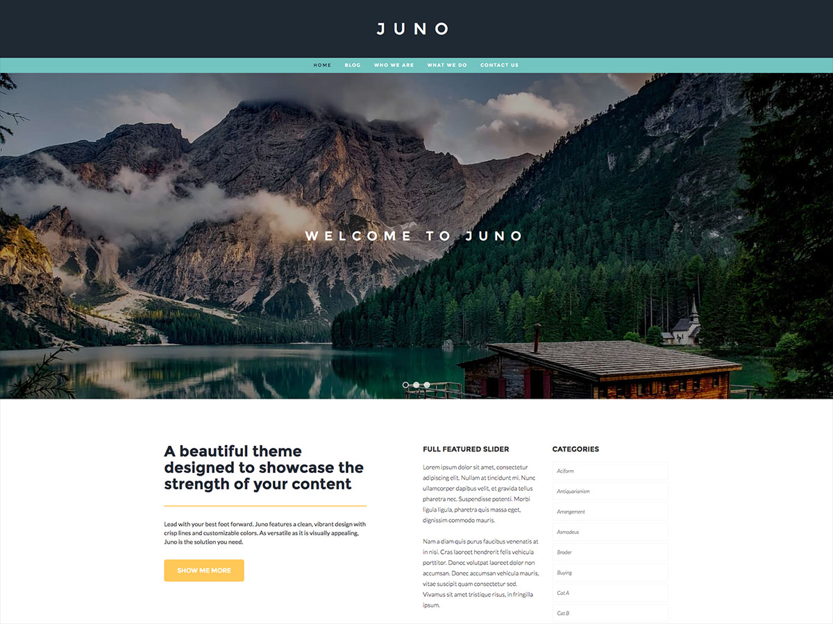 juno free wordpress theme