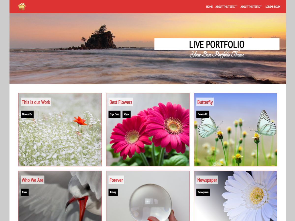 live-portfolio free wordpress theme