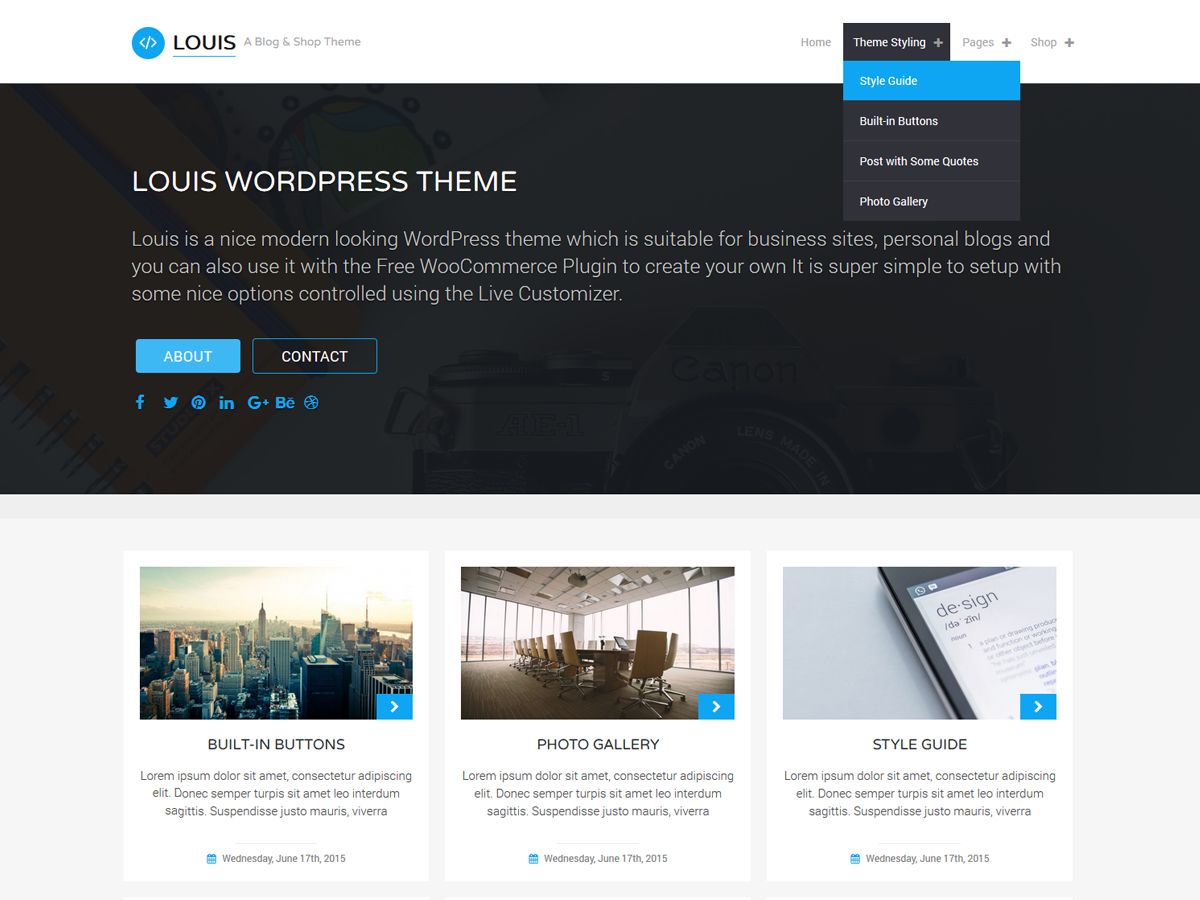 louis free wordpress theme