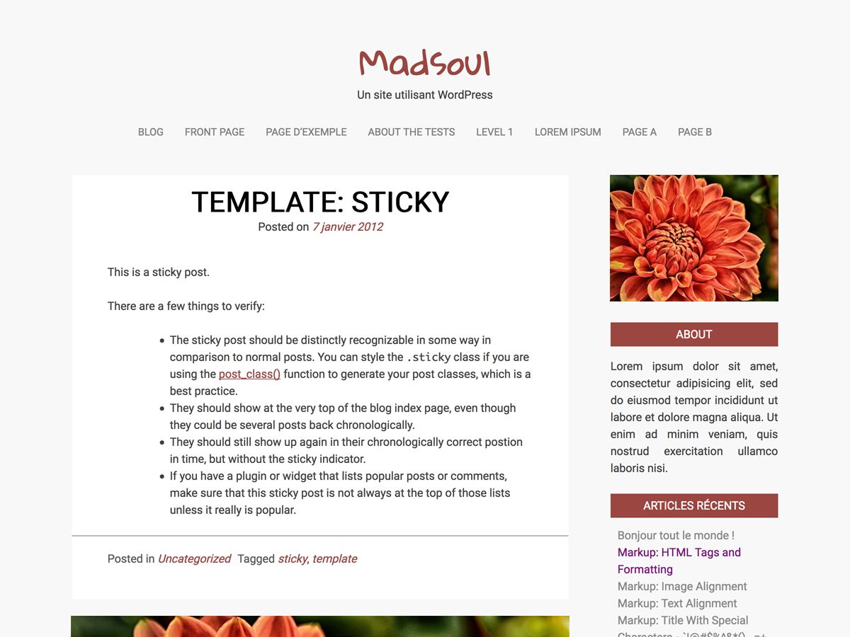 madsoul free wordpress theme