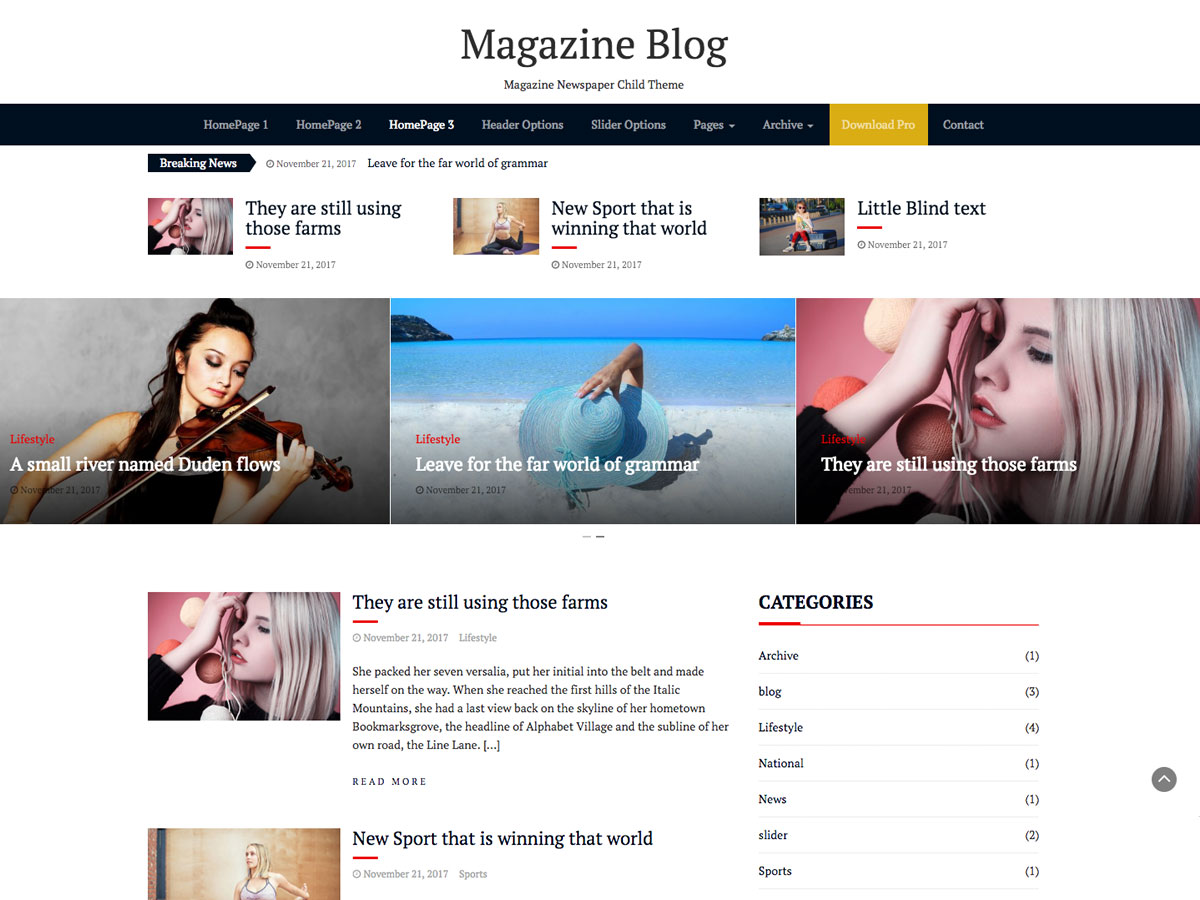 magazine-blog free wordpress theme