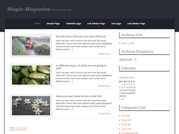magic-magazine free wordpress theme