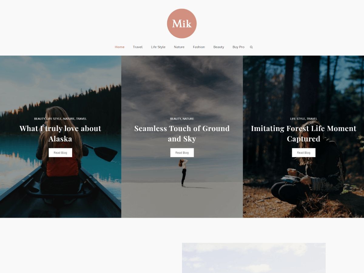 mik free wordpress theme