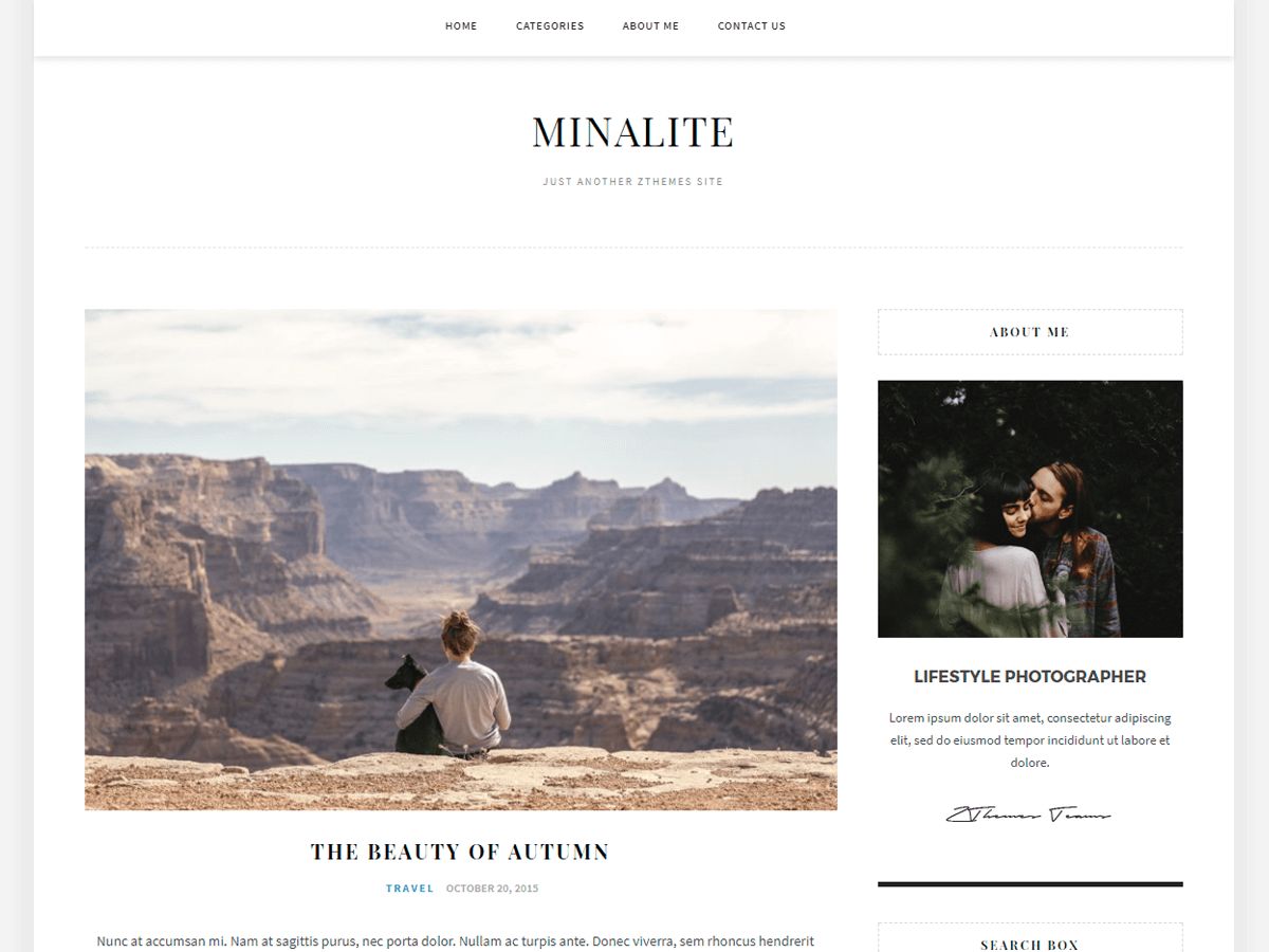 minalite free wordpress theme