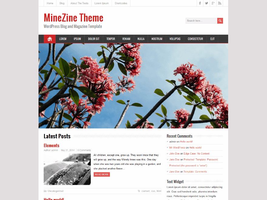 minezine free wordpress theme