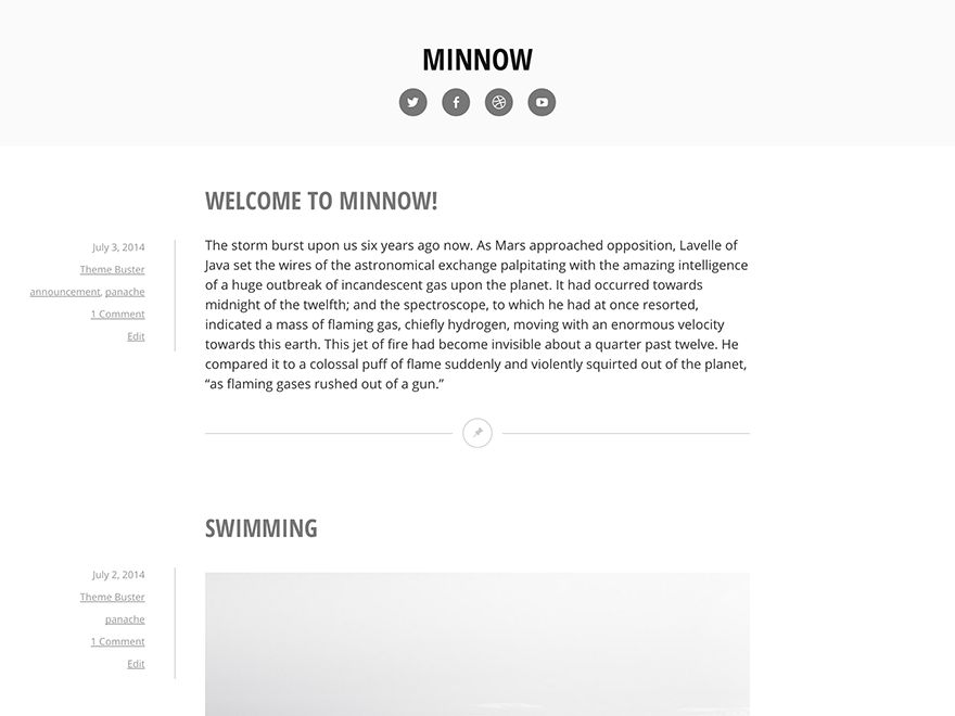 minnow free wordpress theme