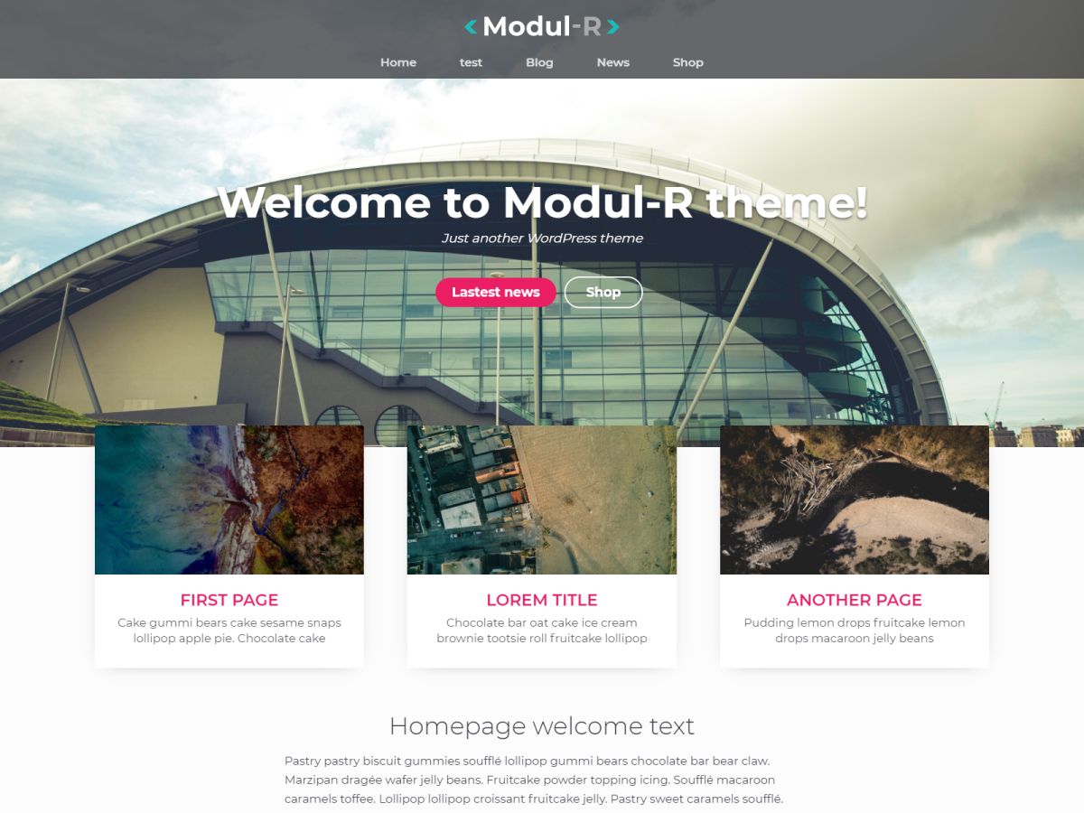 modul-r free wordpress theme