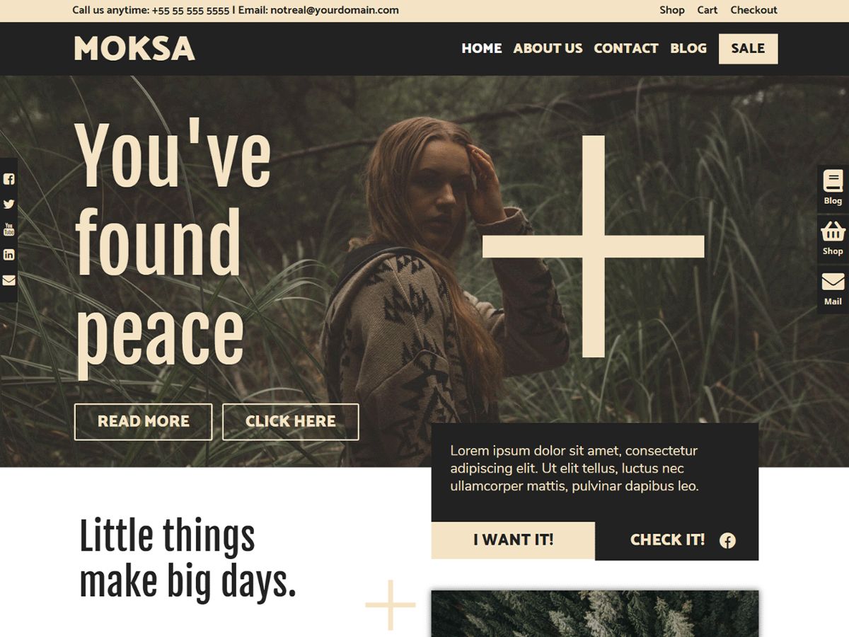 moksa free wordpress theme