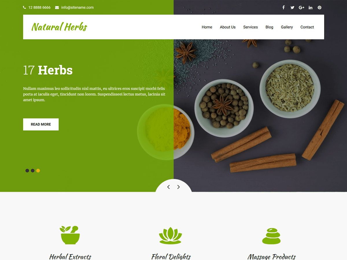natural-herbs-lite free wordpress theme