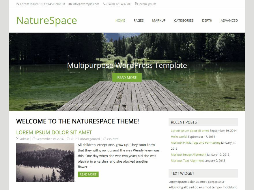naturespace free wordpress theme