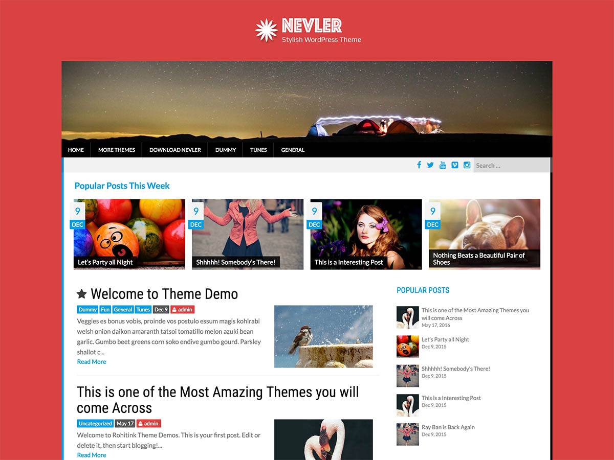 nevler free wordpress theme