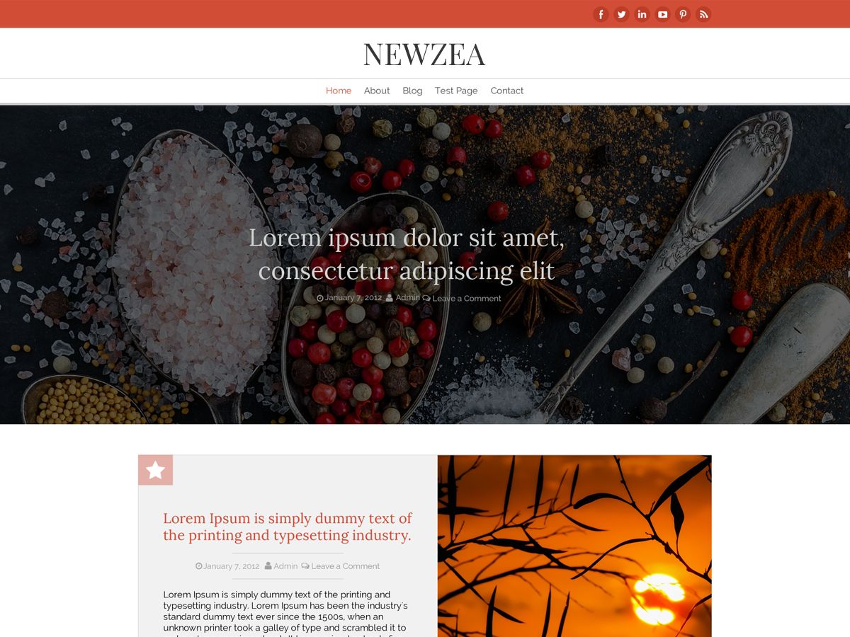 new-zea free wordpress theme