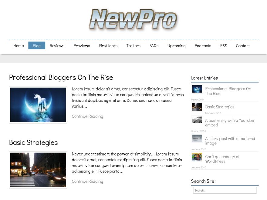newpro free wordpress theme