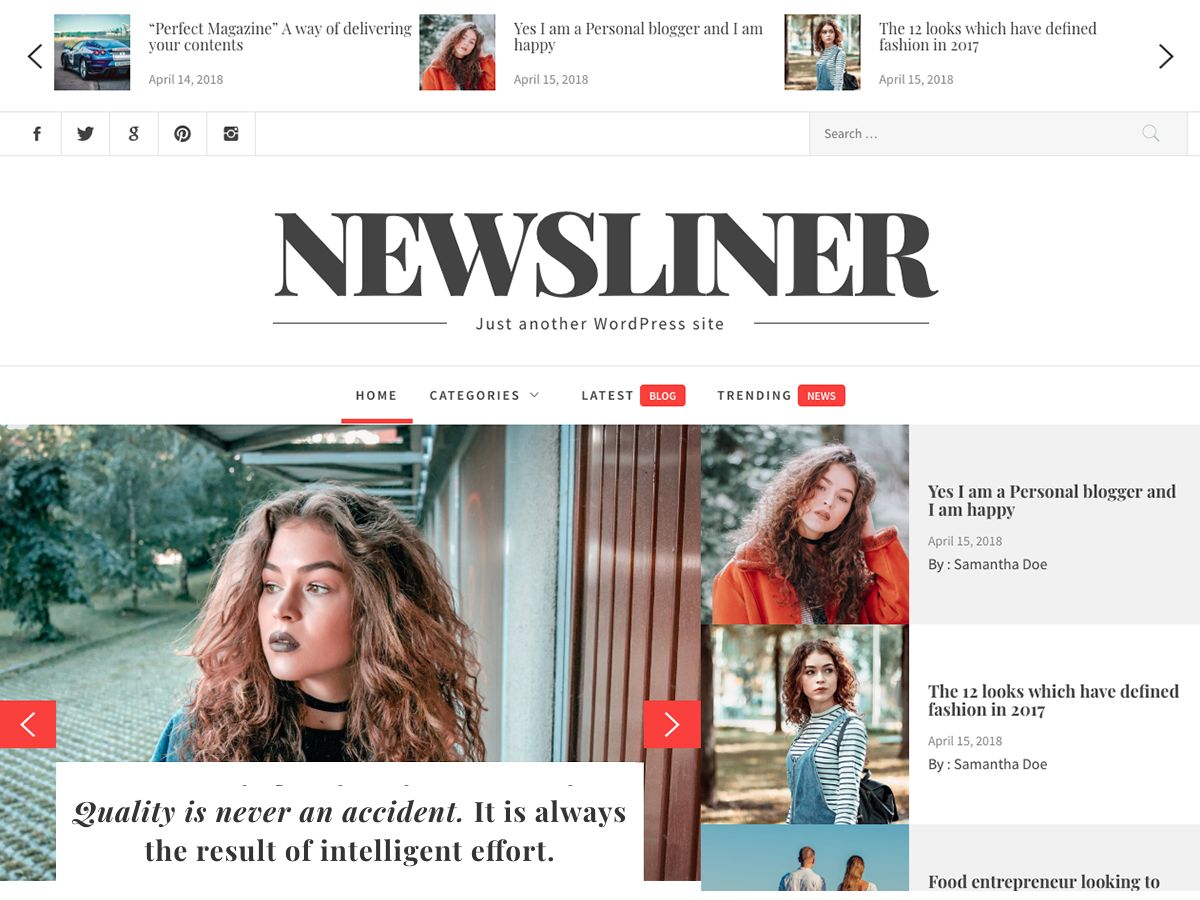 newsliner free wordpress theme