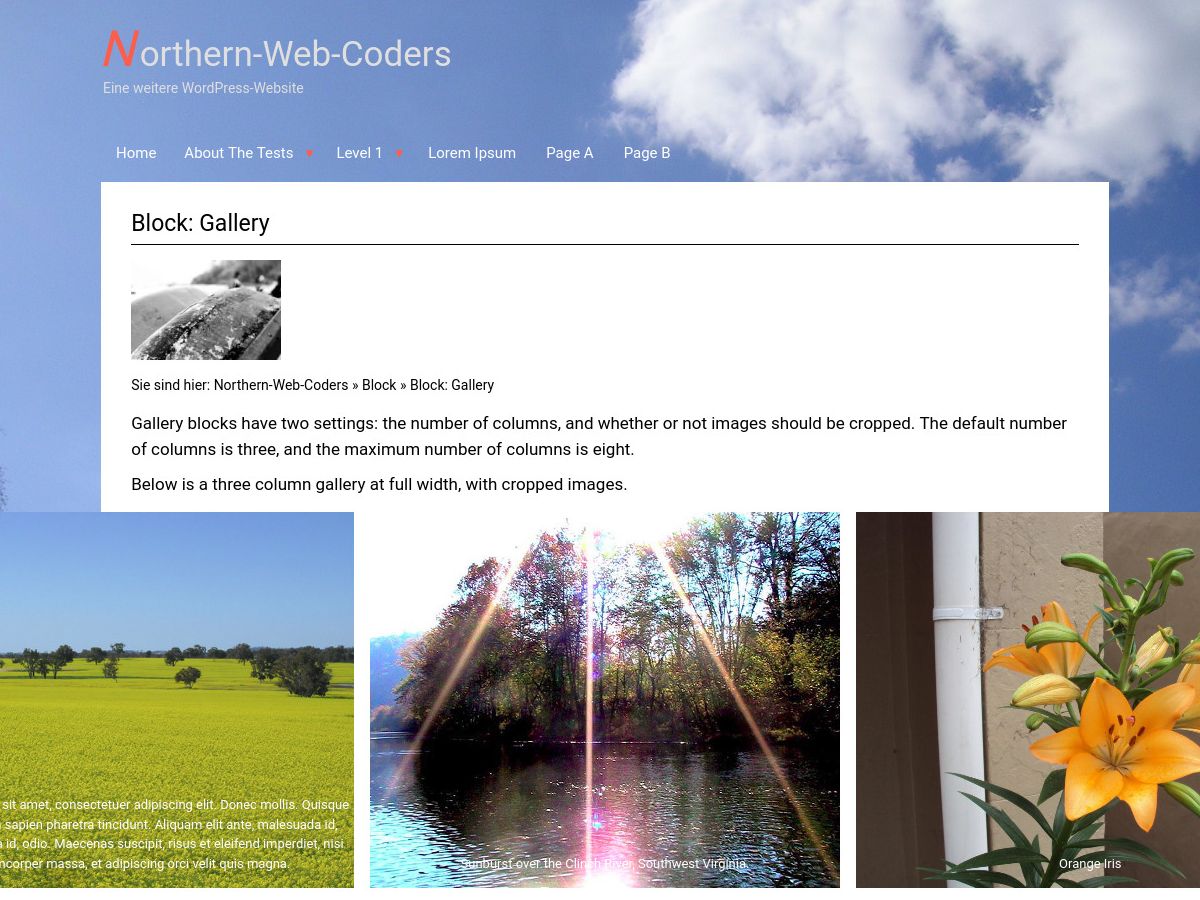 northern-web-coders free wordpress theme