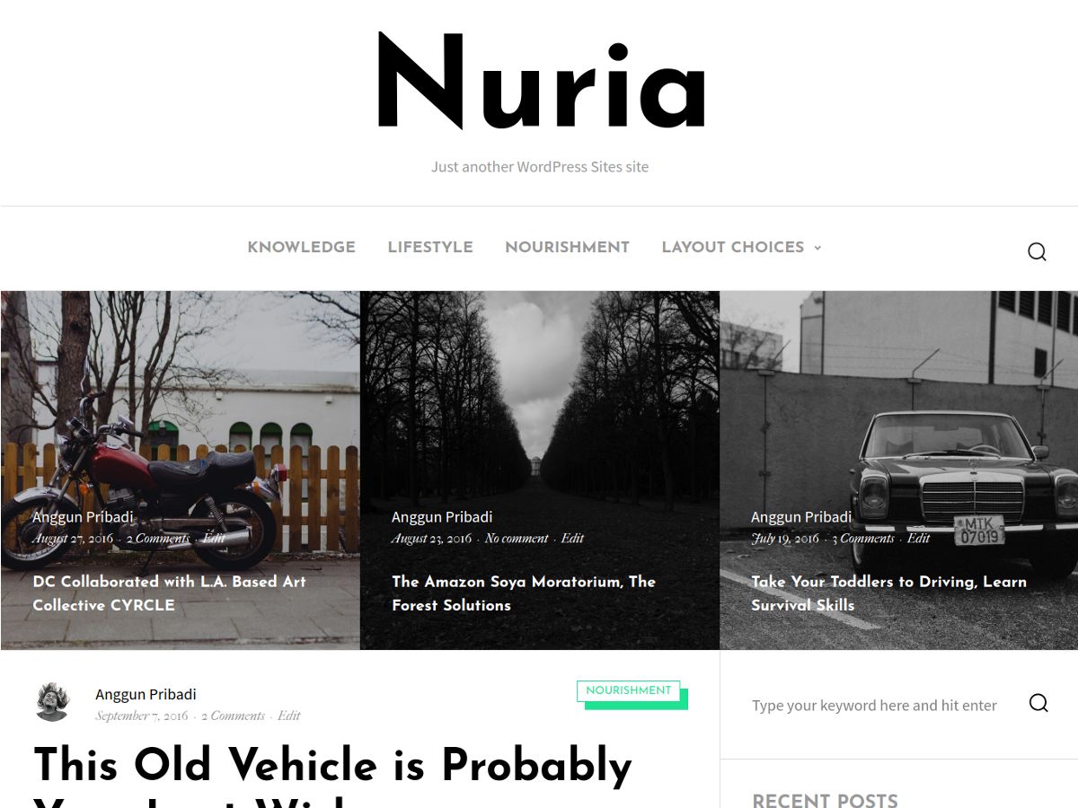 nuria free wordpress theme