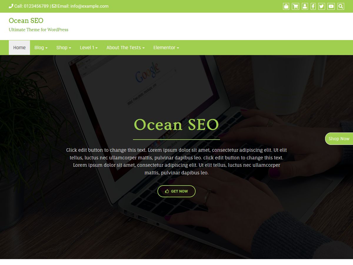 ocean-seo free wordpress theme