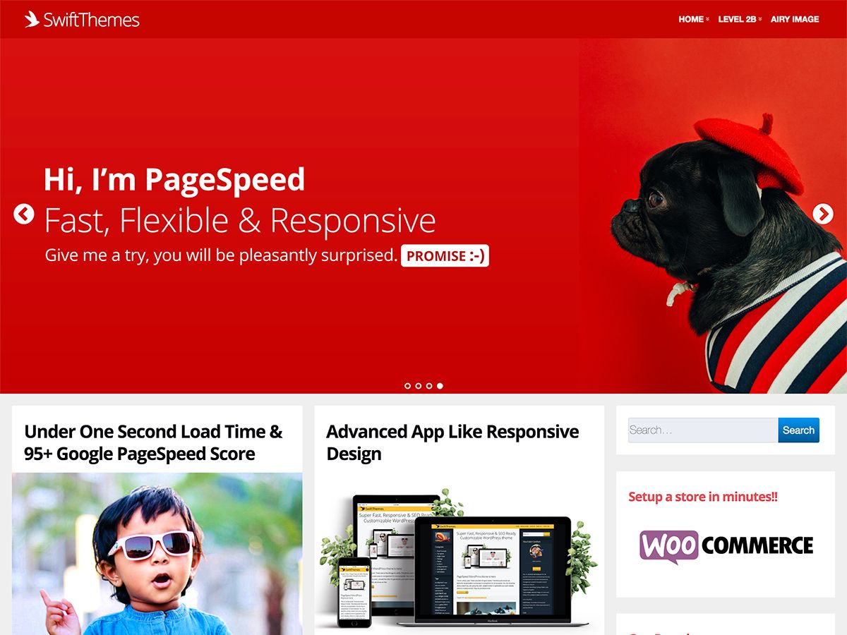 page-speed free wordpress theme