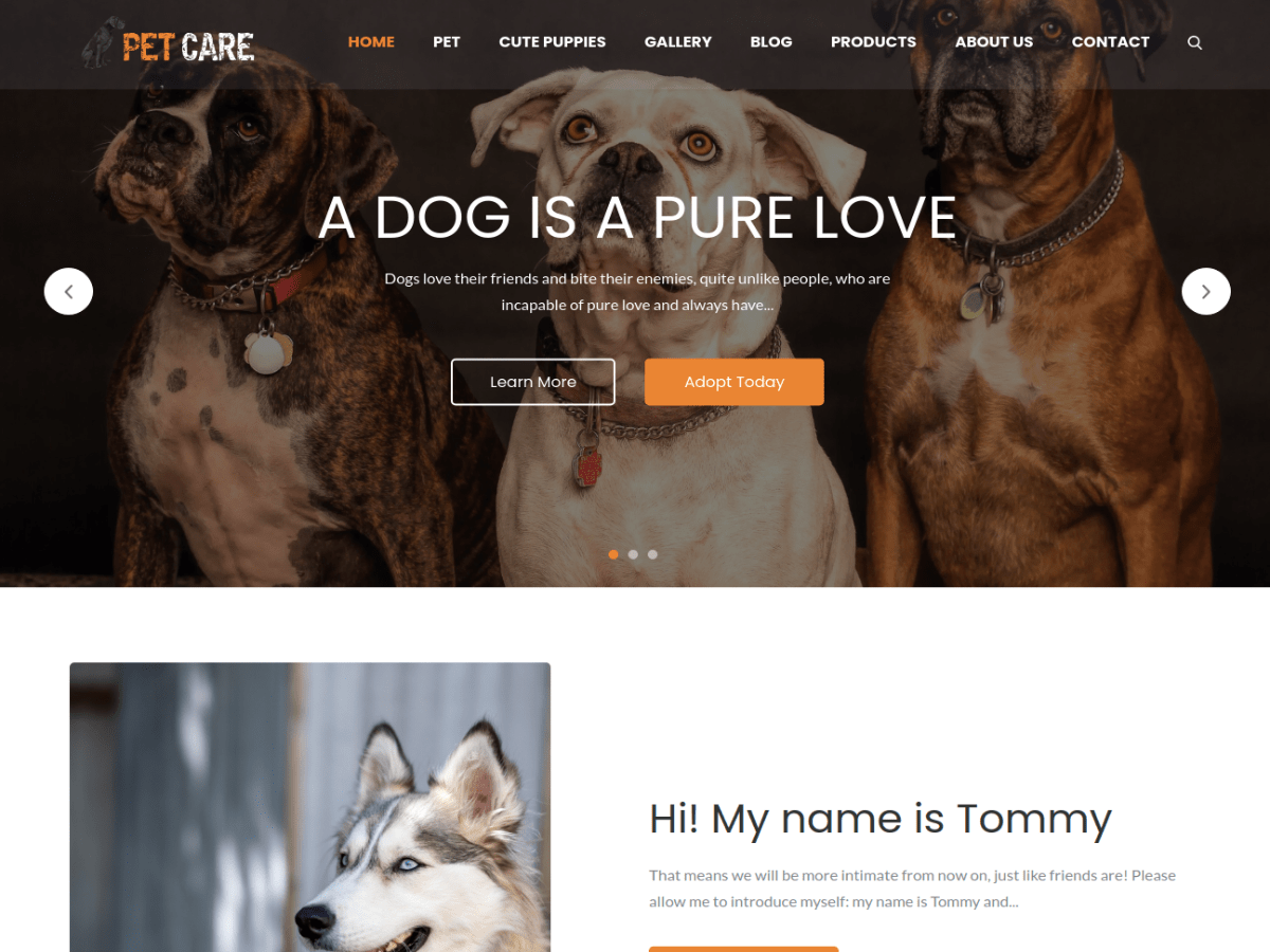 pet-care free wordpress theme