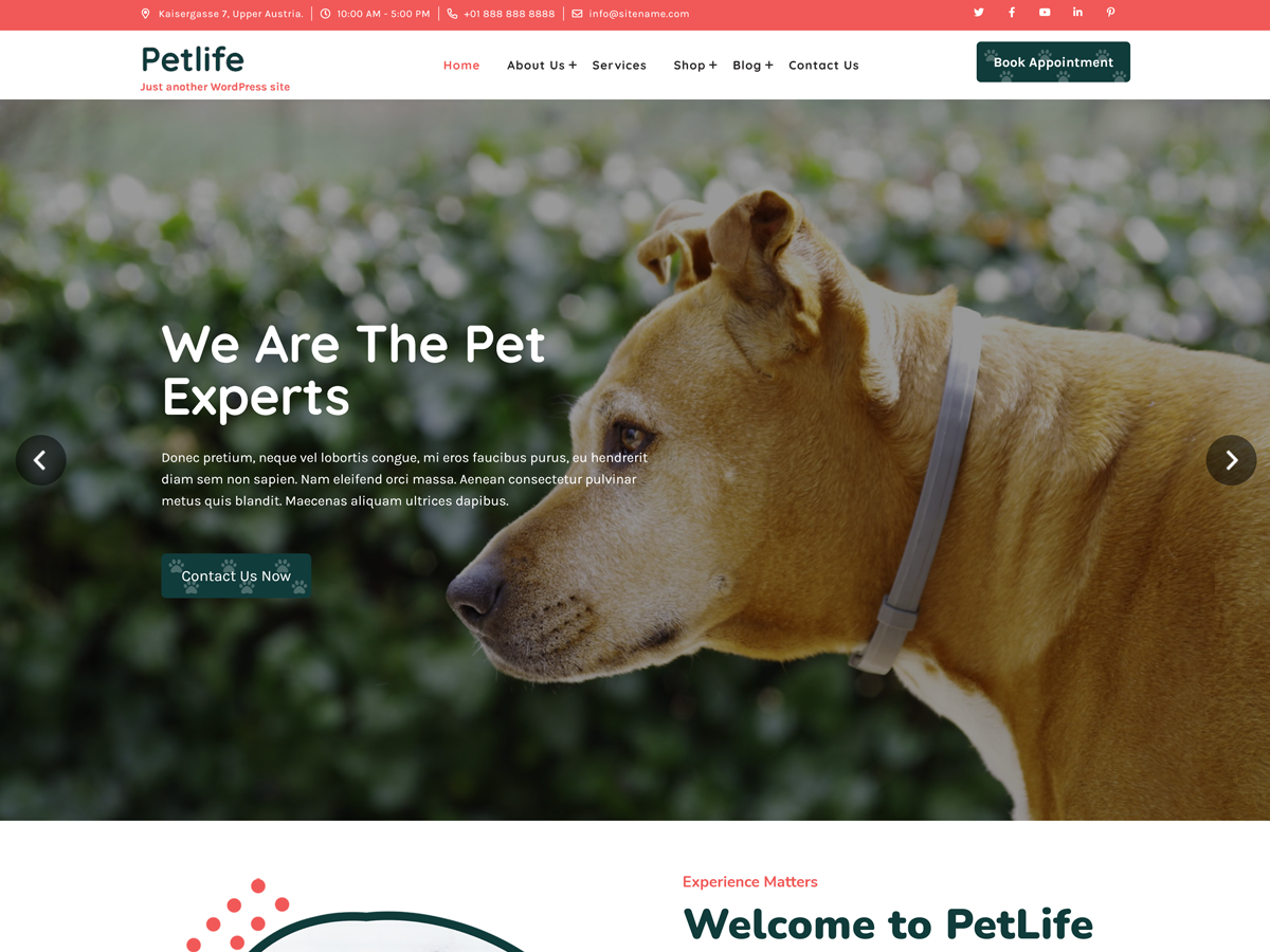 petlife-lite free wordpress theme
