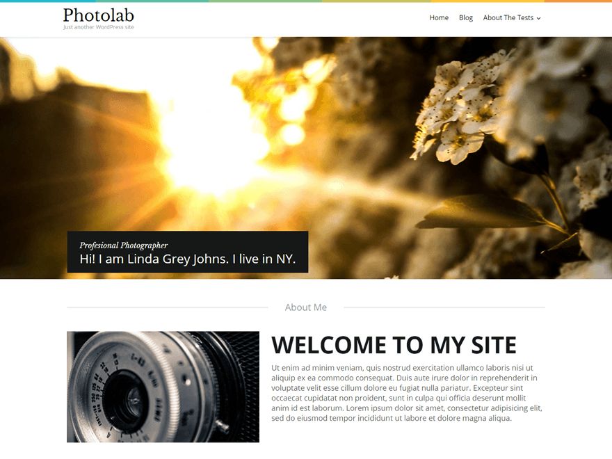 photolab free wordpress theme