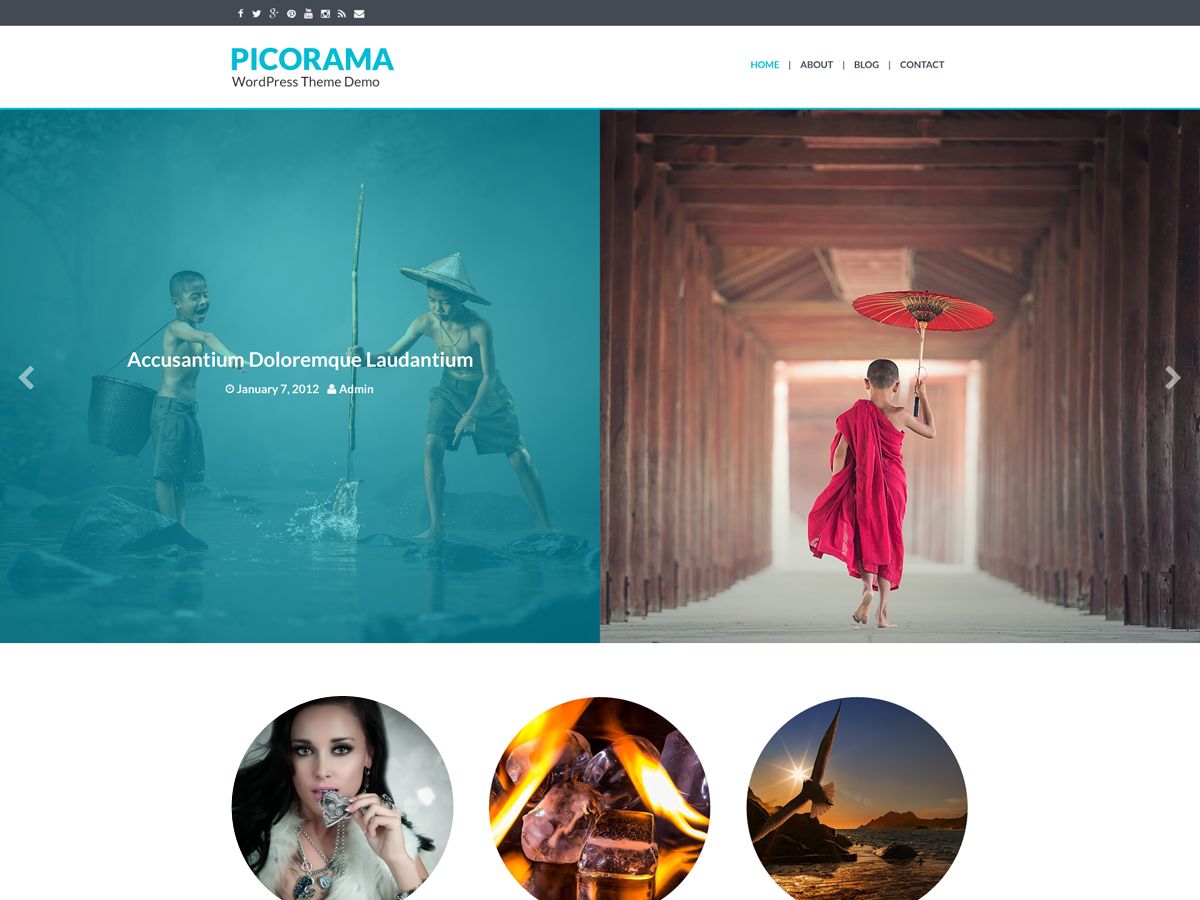 picorama free wordpress theme