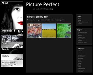 picture-perfect free wordpress theme