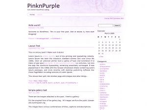 pinknpurple free wordpress theme