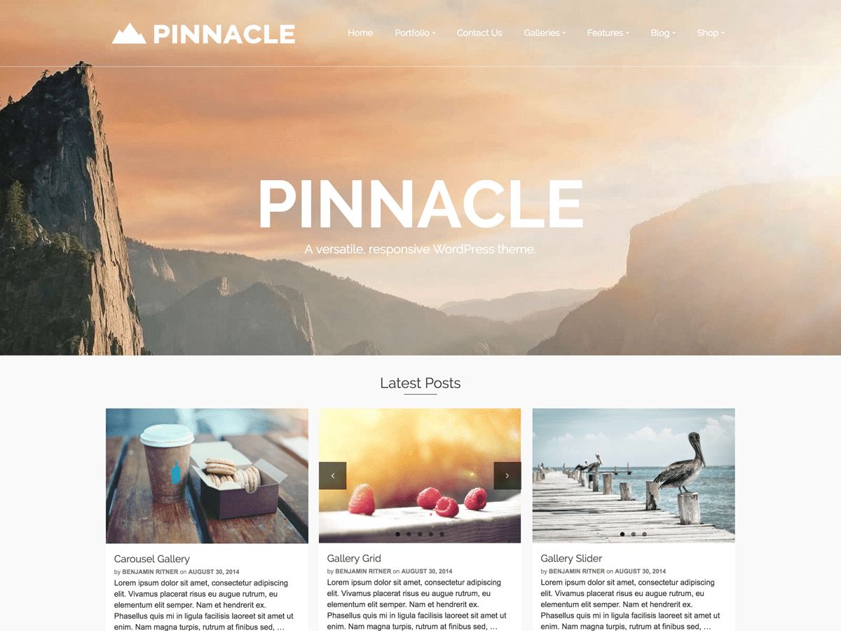 pinnacle free wordpress theme