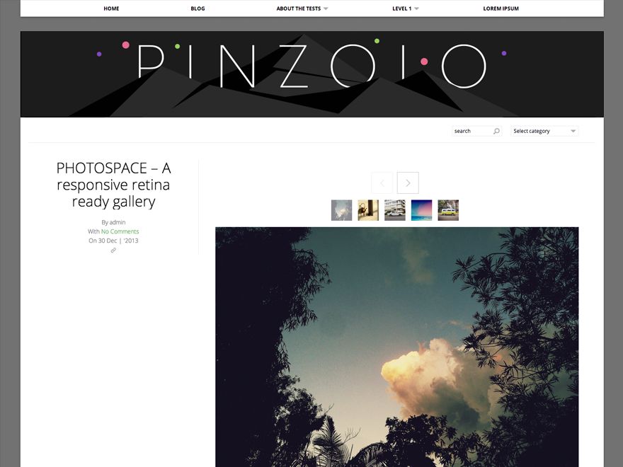 pinzolo free wordpress theme