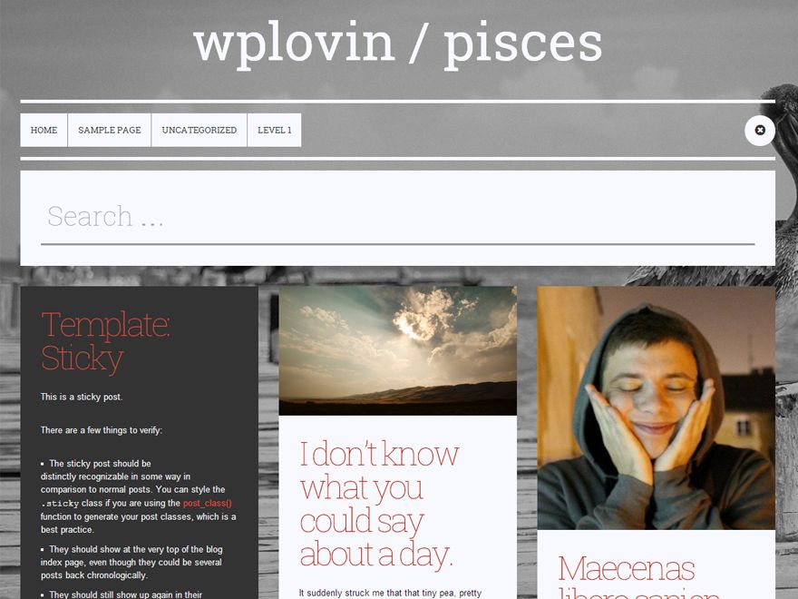 pisces free wordpress theme