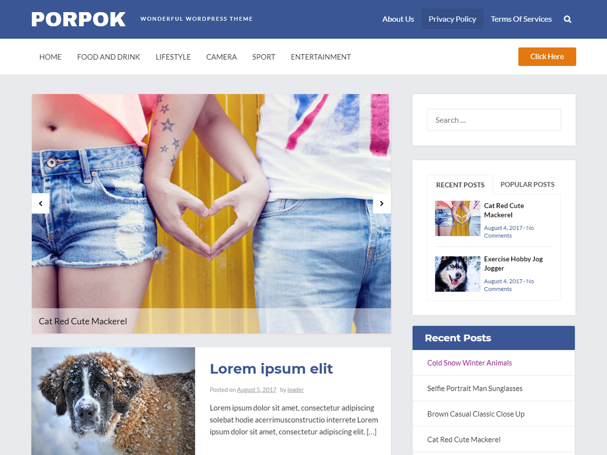 porpok free wordpress theme