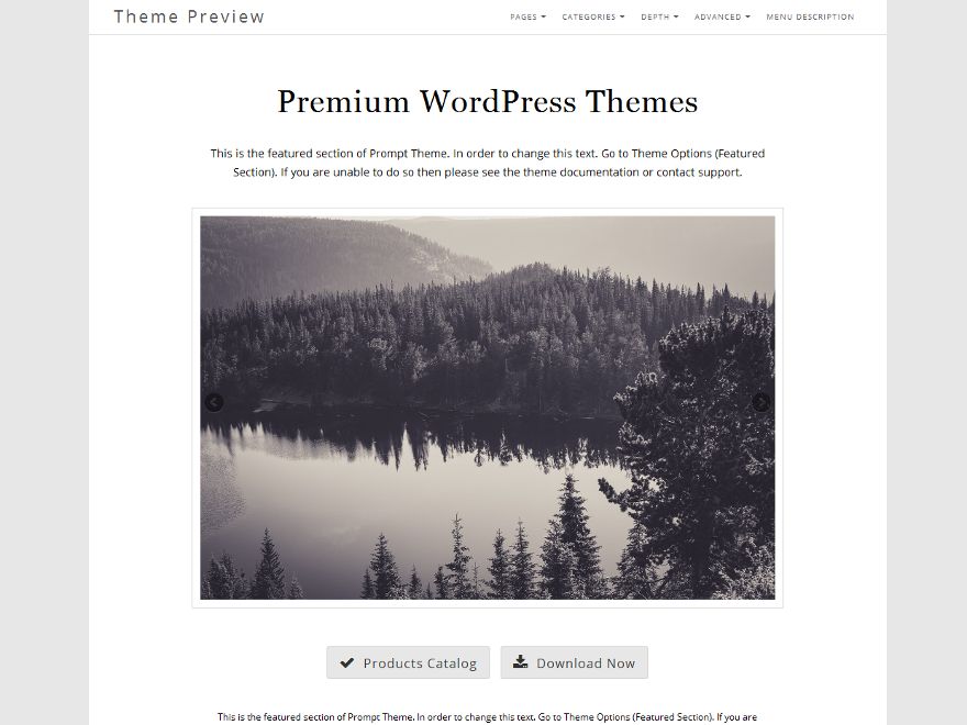 prompt free wordpress theme
