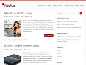 radius free wordpress theme