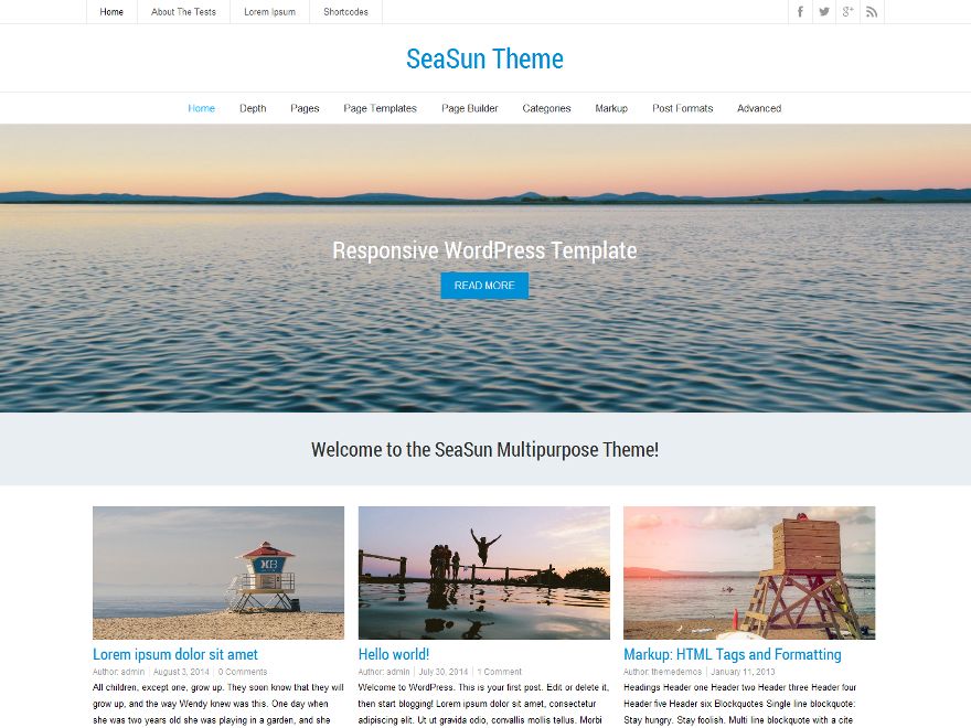 seasun free wordpress theme