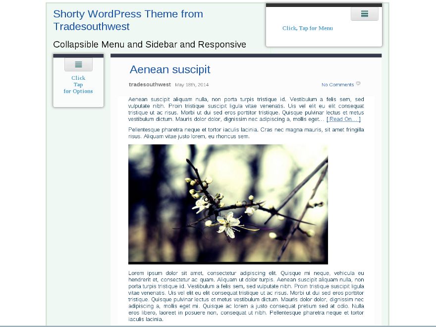 shorty free wordpress theme
