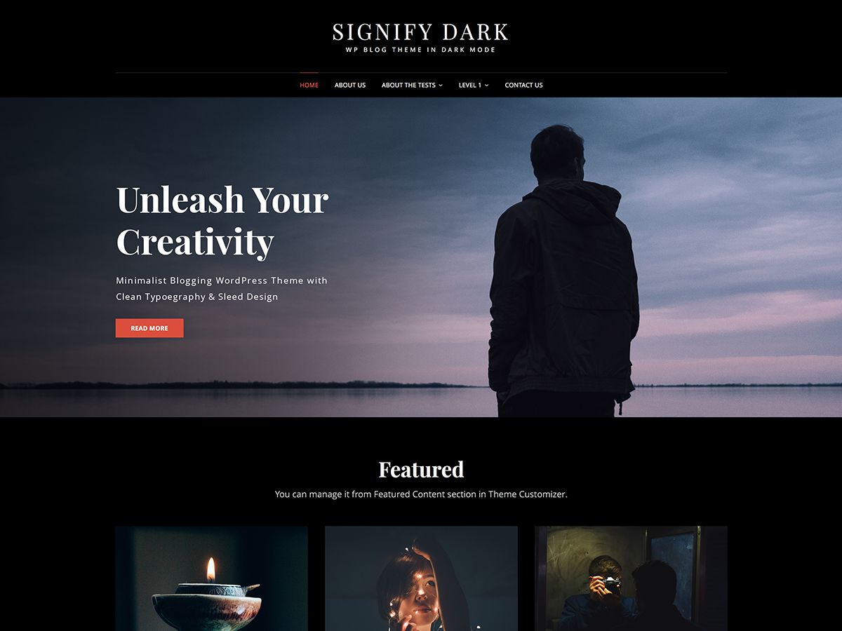 signify-dark free wordpress theme