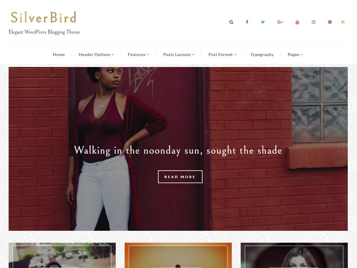 silverbird free wordpress theme
