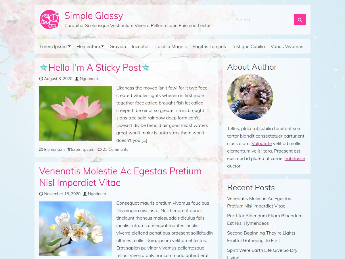 simple-glassy free wordpress theme