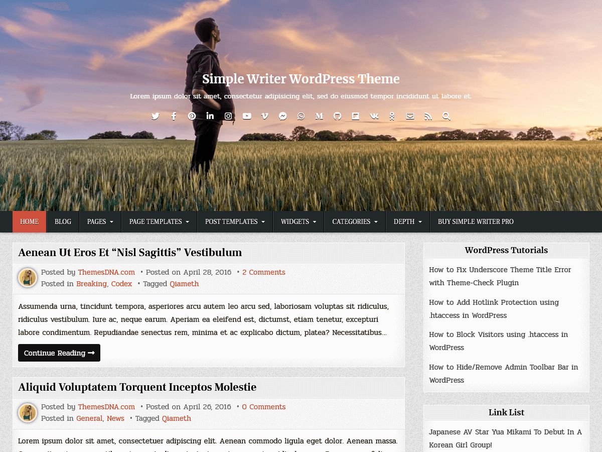 simple-writer free wordpress theme