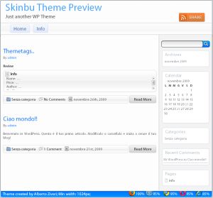 skinbu free wordpress theme