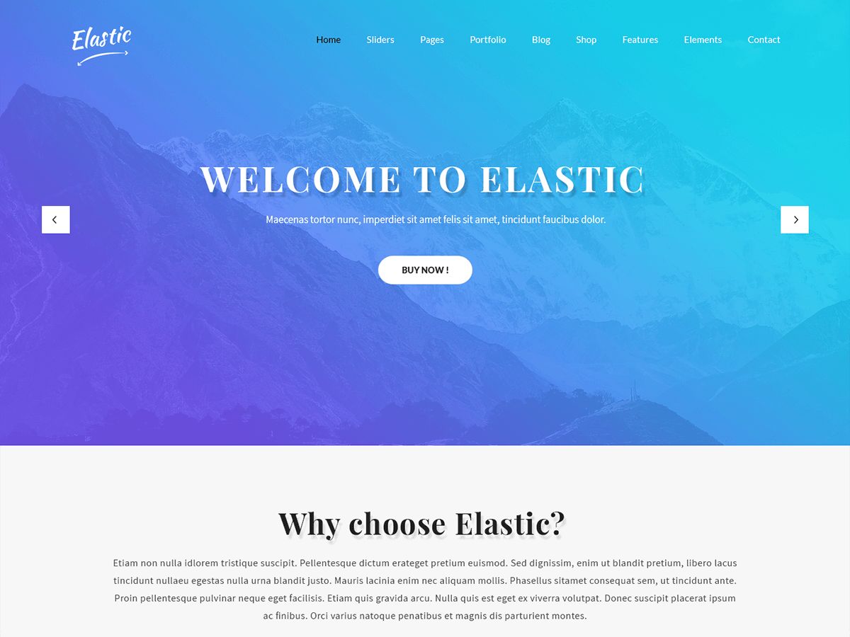 skt-elastic free wordpress theme