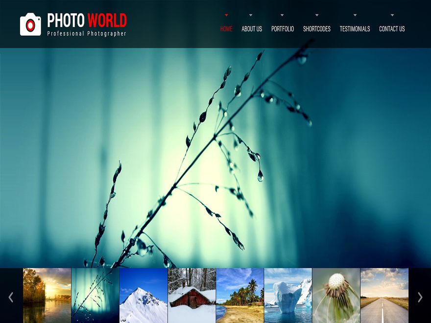 skt-photo-world free wordpress theme