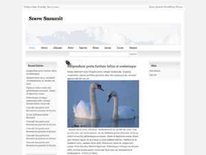 snow-summit free wordpress theme