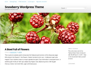 snowberry free wordpress theme