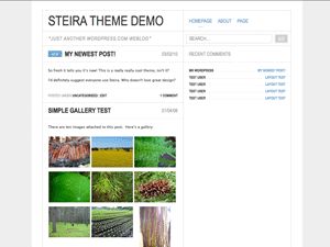 steira free wordpress theme
